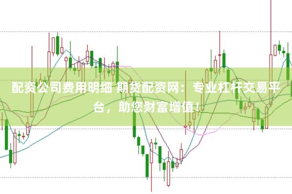 配资公司费用明细 期货配资网：专业杠杆交易平台，助您财富增值！