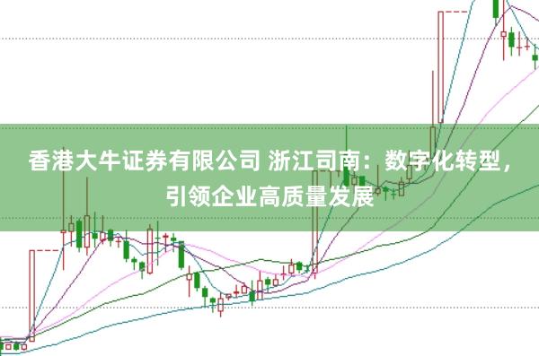 香港大牛证券有限公司 浙江司南:数字化转型,引领企业高质量发展