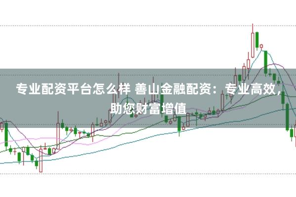 专业配资平台怎么样 善山金融配资：专业高效，助您财富增值
