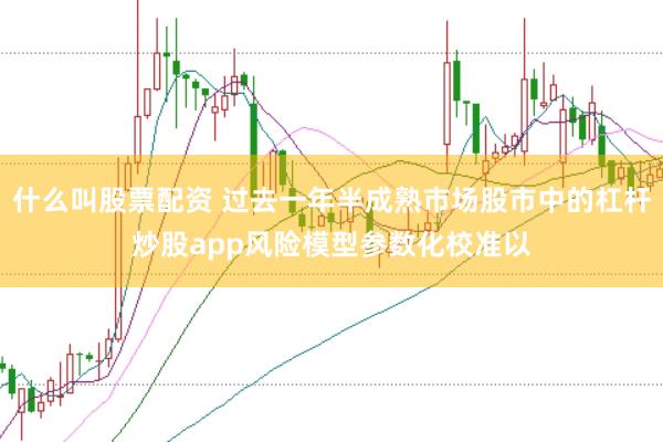 什么叫股票配资 过去一年半成熟市场股市中的杠杆炒股app风险模型参数化校准以