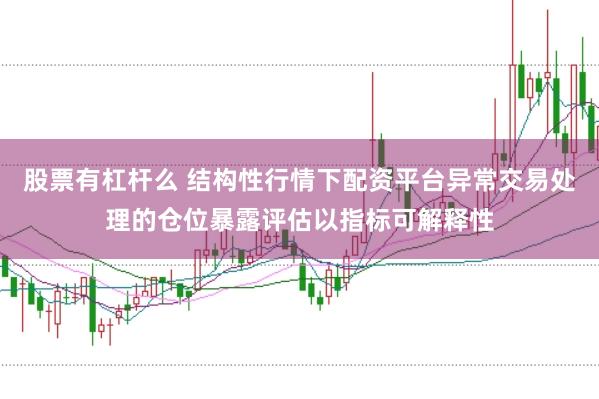股票有杠杆么 结构性行情下配资平台异常交易处理的仓位暴露评估以指标可解释性