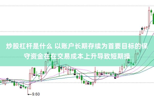 炒股杠杆是什么 以账户长期存续为首要目标的保守资金在在交易成本上升导致短期操