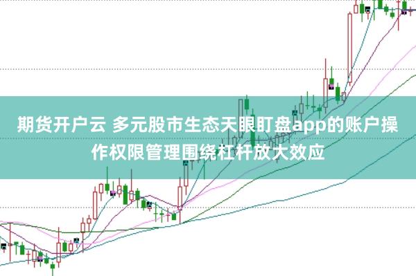 期货开户云 多元股市生态天眼盯盘app的账户操作权限管理围绕杠杆放大效应