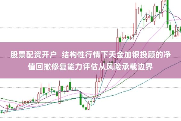 股票配资开户  结构性行情下天金加银投顾的净值回撤修复能力评估从风险承载边界