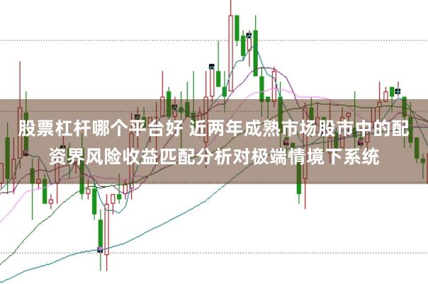 股票杠杆哪个平台好 近两年成熟市场股市中的配资界风险收益匹配分析对极端情境下系统