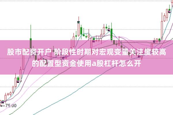 股市配资开户 阶段性时期对宏观变量关注度较高的配置型资金使用a股杠杆怎么开