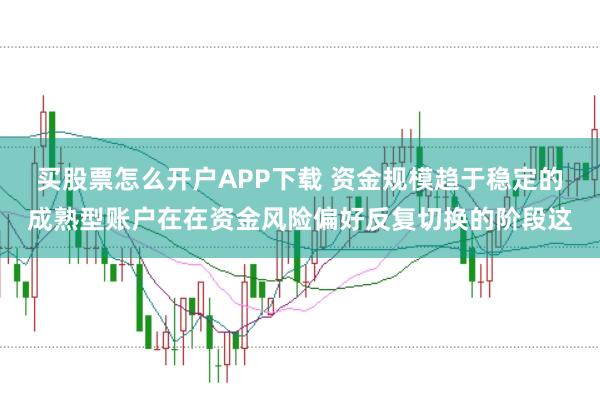 买股票怎么开户APP下载 资金规模趋于稳定的成熟型账户在在资金风险偏好反复切换的阶段这