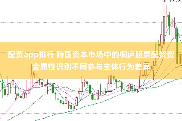 配资app排行 跨国资本市场中的桐庐股票配资资金属性识别不同参与主体行为差异
