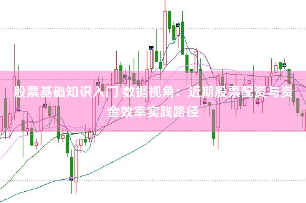 股票基础知识入门 数据视角：近期股票配资与资金效率实践路径