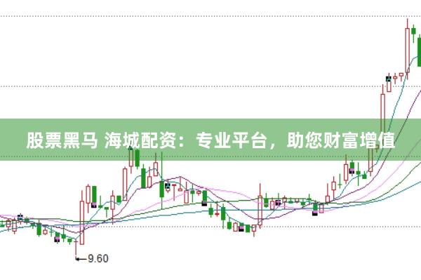 股票黑马 海城配资：专业平台，助您财富增值