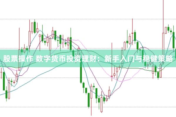 股票操作 数字货币投资理财：新手入门与稳健策略