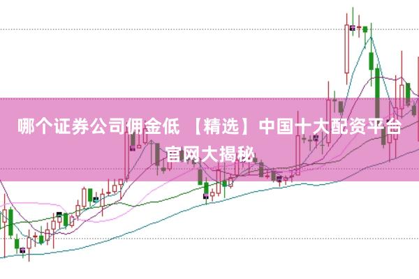 哪个证券公司佣金低 【精选】中国十大配资平台官网大揭秘