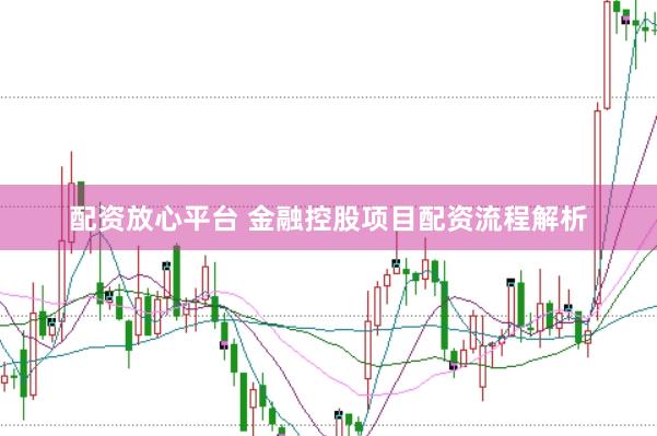配资放心平台 金融控股项目配资流程解析