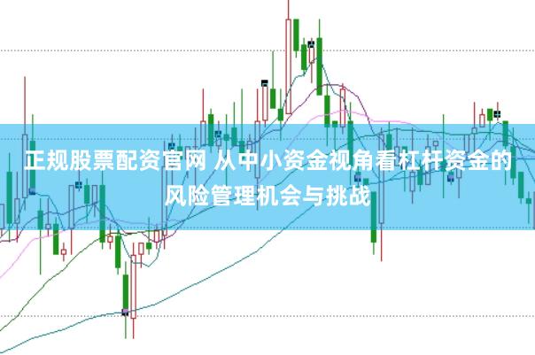 正规股票配资官网 从中小资金视角看杠杆资金的风险管理机会与挑战