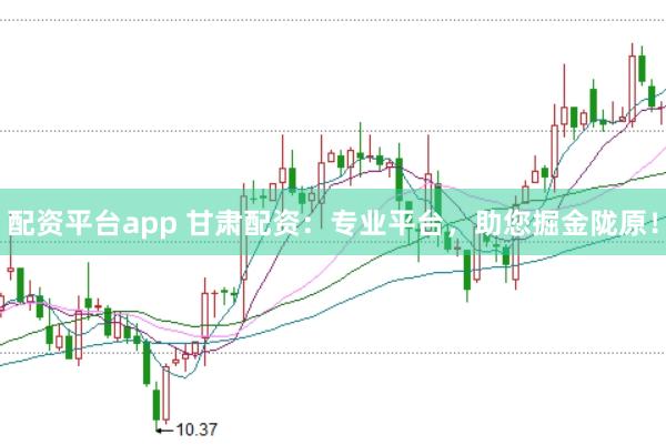 配资平台app 甘肃配资：专业平台，助您掘金陇原！