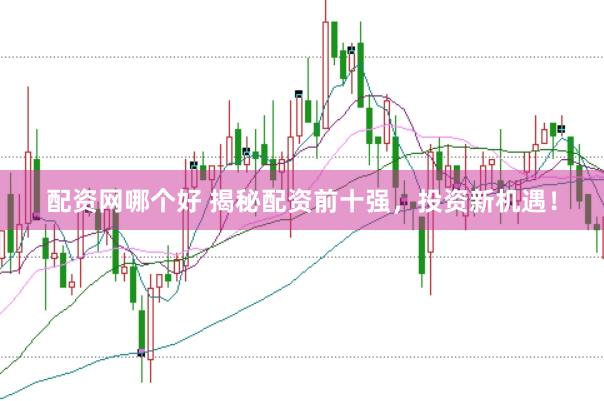 配资网哪个好 揭秘配资前十强，投资新机遇！